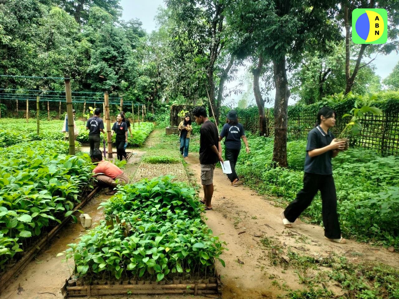 ULA Launches Major Tree Planting and Conservation Initiative Across Arakan