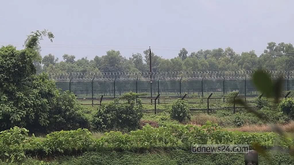 Bangladeshi National Killed in BSF Shooting at Thakurgaon Border