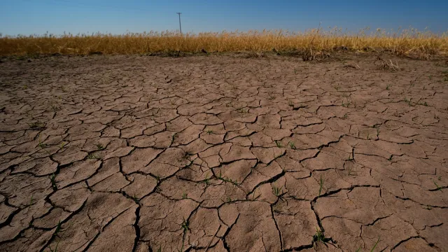 India Declares 21 Districts Drought-Affected Amid Declining Rainfall and Worsening El Niño Conditions