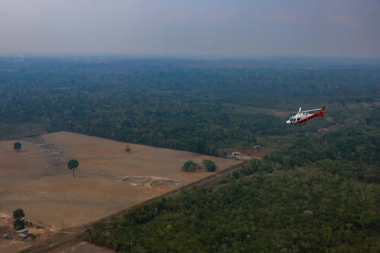 Brazil’s Amazon Deforestation Falls to Lowest Level Since 1988